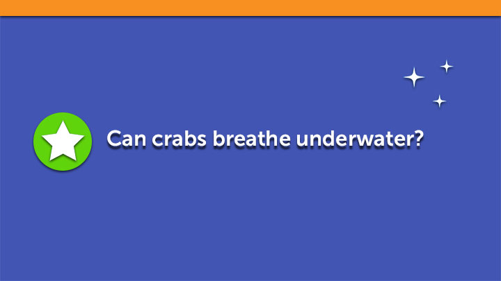 Can crabs breathe underwater??
