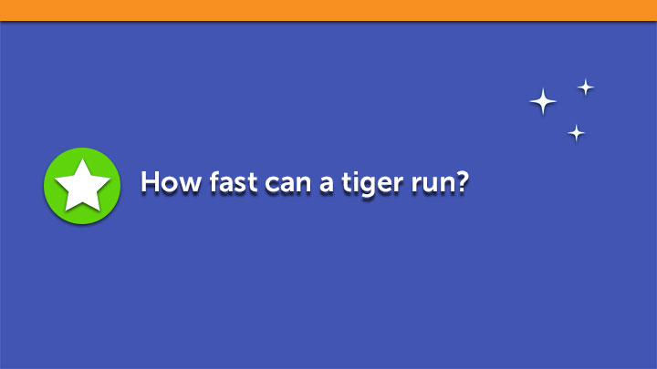 How fast can a tiger run?