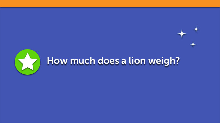How much does a lion weigh?